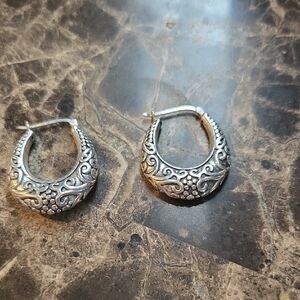 Elegant Silver Hoop Earrings
